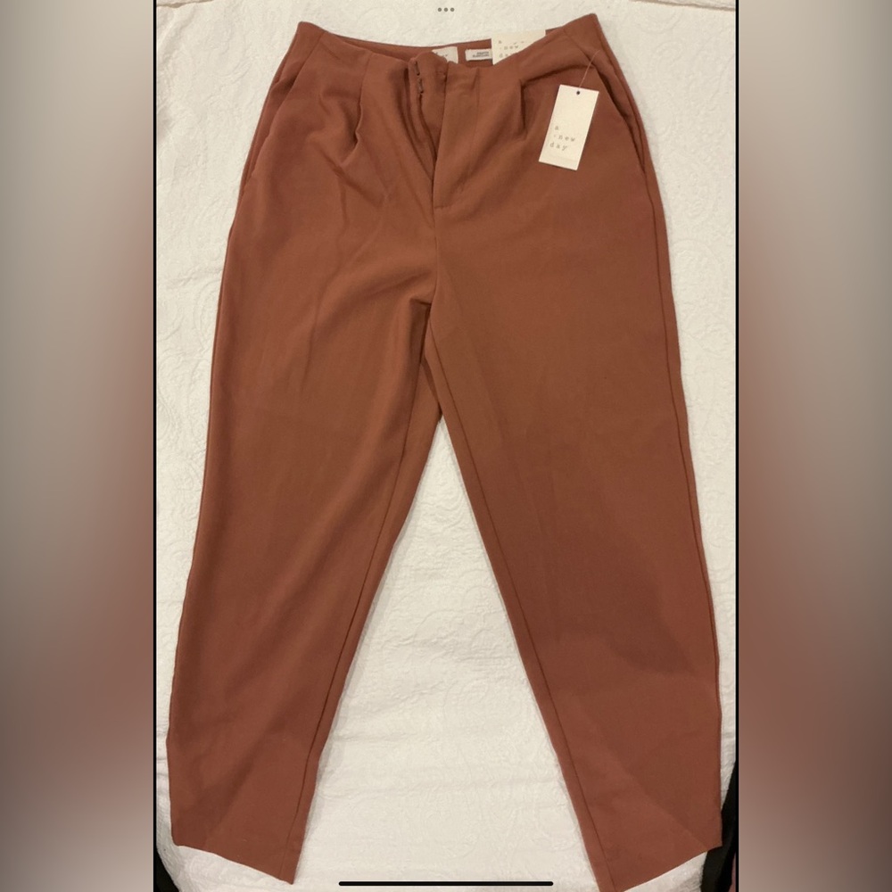Women’s terra cotta pleaded dress pants